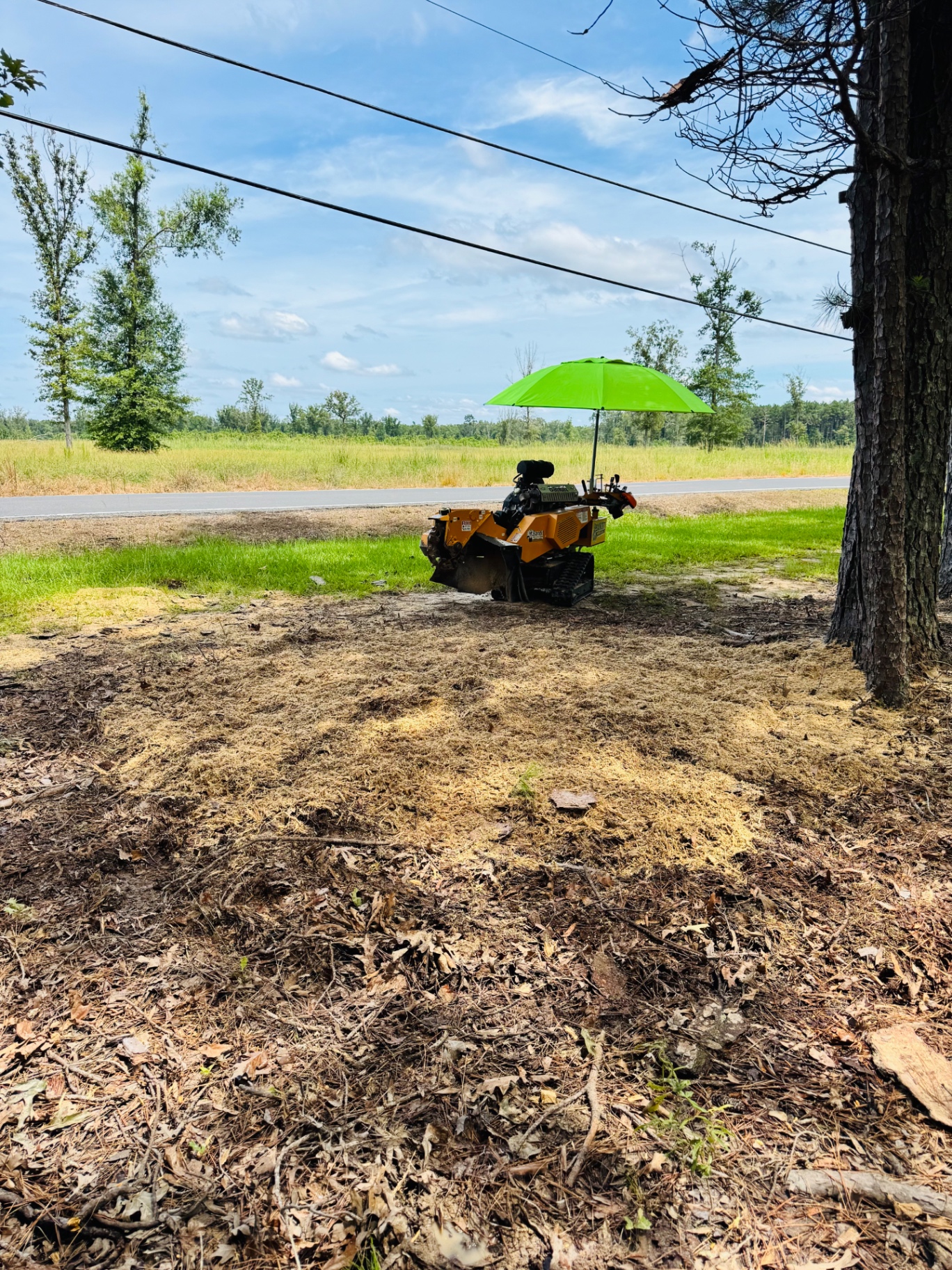 Stump grinding work in progress
