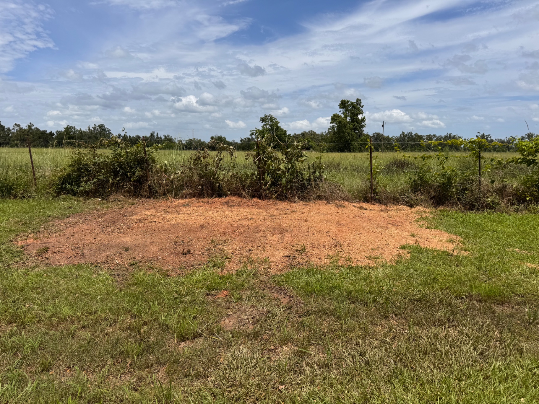 After: Overgrown fence line cleared and ground out